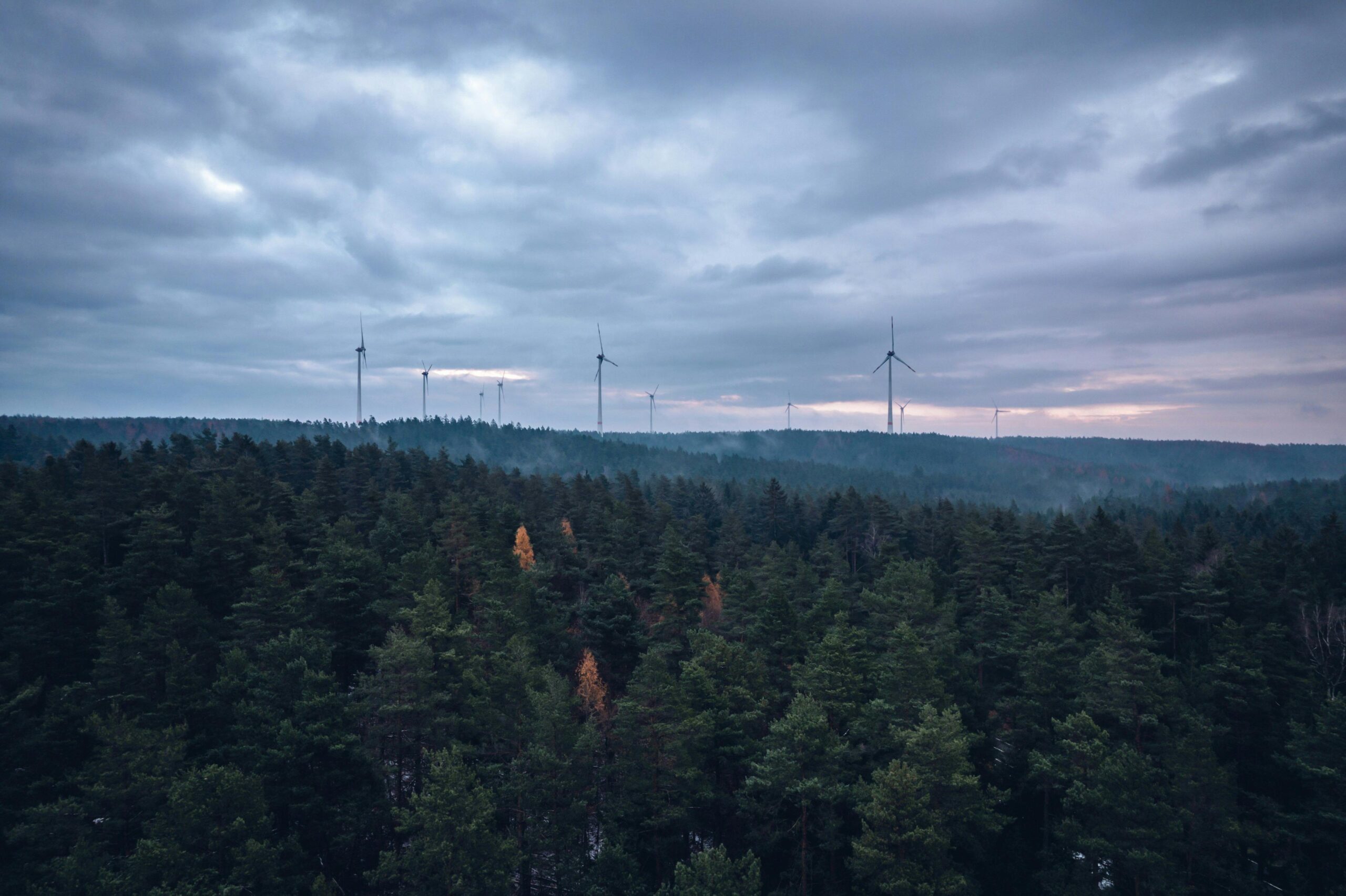 From forest science to thermal power to scaling renewables for a sustainable future: Shinji’s story