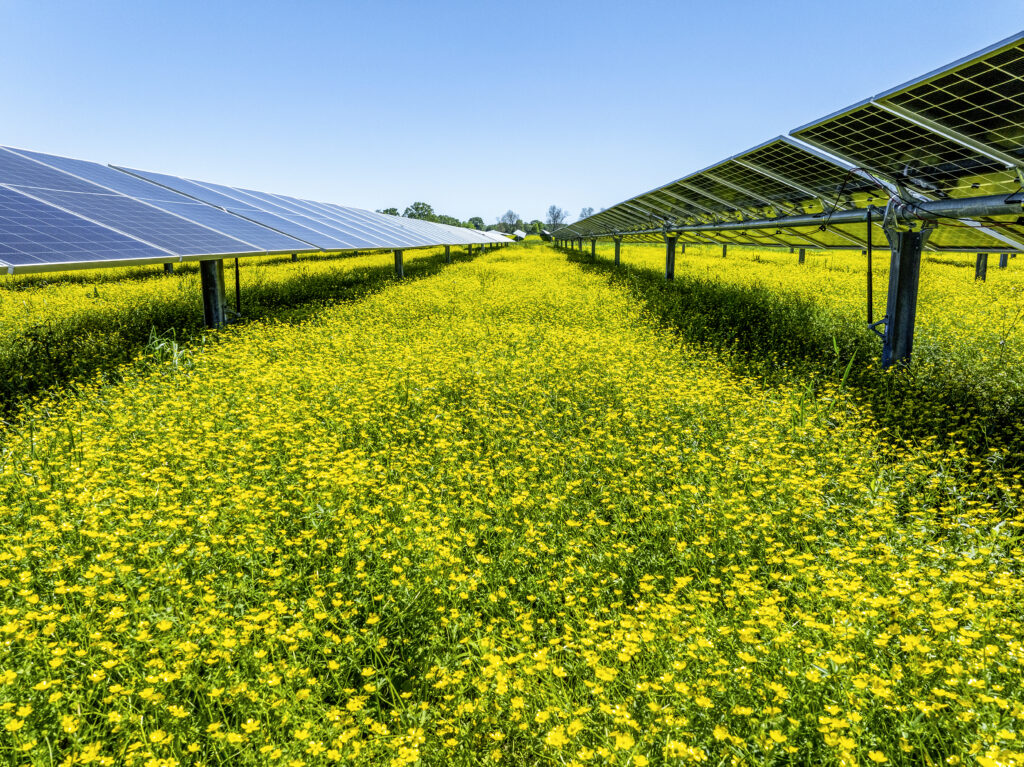 Oxbow solar farm producing solar energy